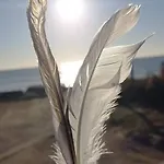 En Plein Coeur De L'ile D'oleron, Parentale. *