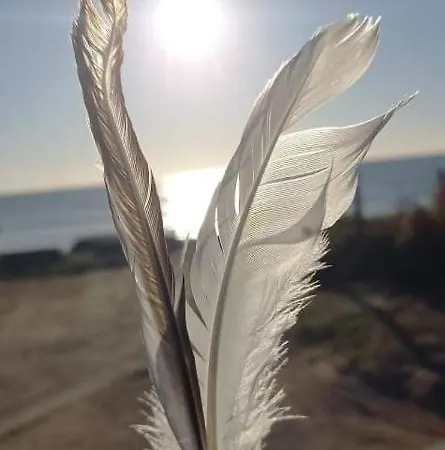En Plein Coeur De L'ile D'oleron, Parentale. *