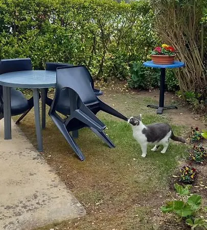 דירה En Plein Coeur De L'ile D'oleron, Parentale. Dolus d'Oléron